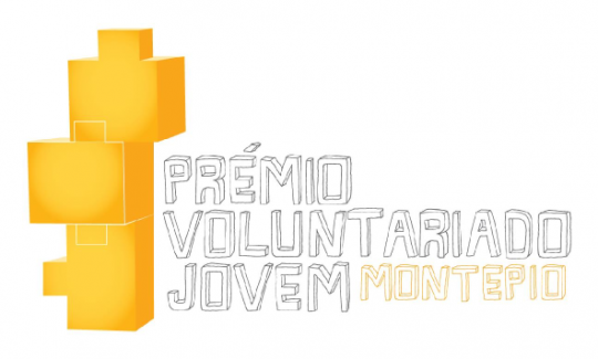 Voluntariado-Jovem-2014-540x325